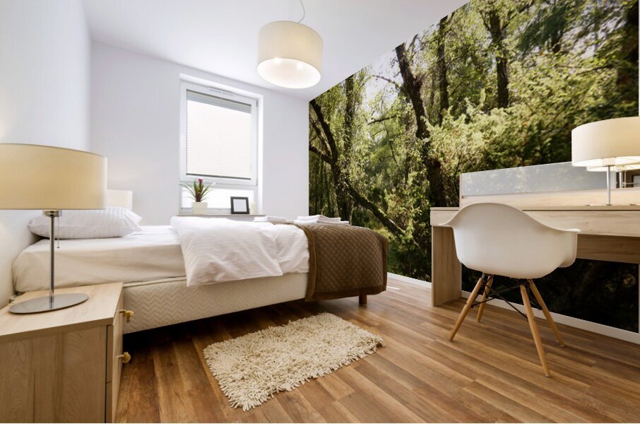 Fantasy Forest in the Scottish Highlands Mural print