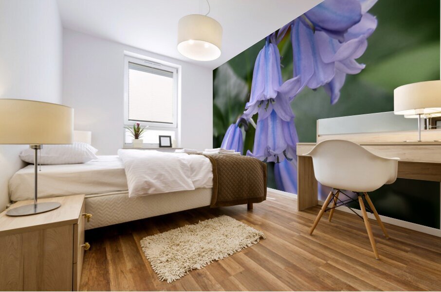   May Bluebells                                                                                                                    Mural print