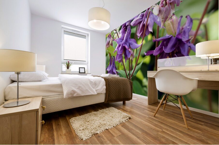 Spring Columbine                                                                                                                      Mural print