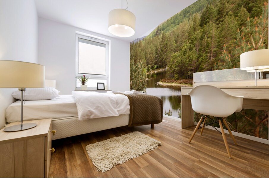 Scottish Highlands Lochan View Mural print