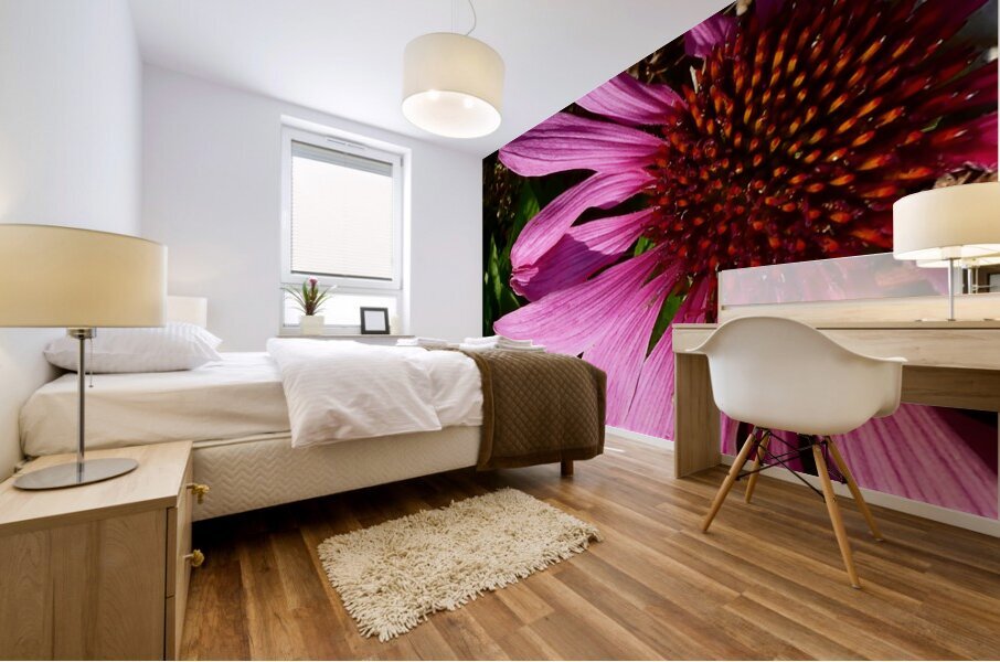 Impressionistic Cone Flower Mural print