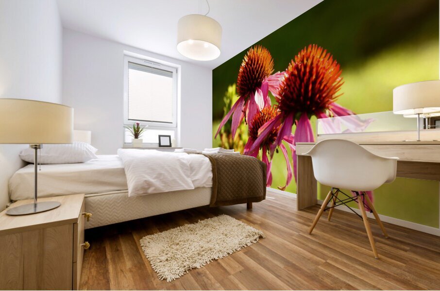 Summer Cone Flowers Mural print