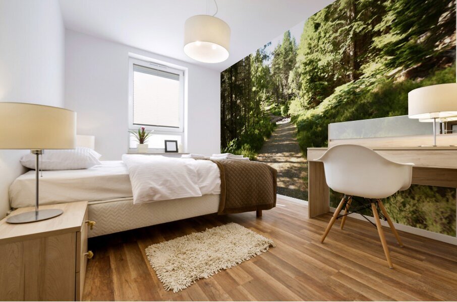 Impressionistic Scottish Highlands Summer Trail Mural print