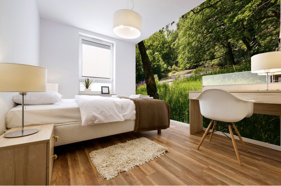 Summer in the Scottish Highlands Mural print