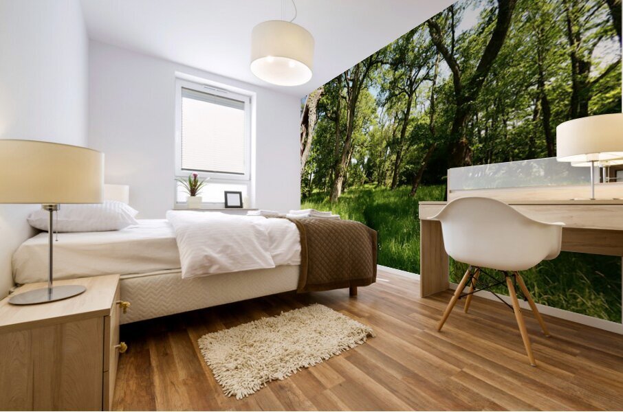 Scottish Highlands Summer Style Mural print