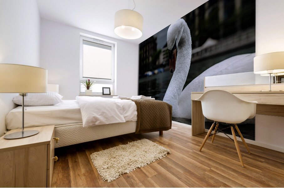 Coy Swiss Swan Mural print