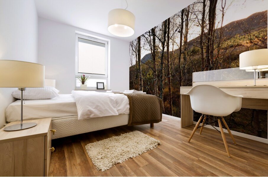 Scottish Highlands Winter Sunlight Mural print