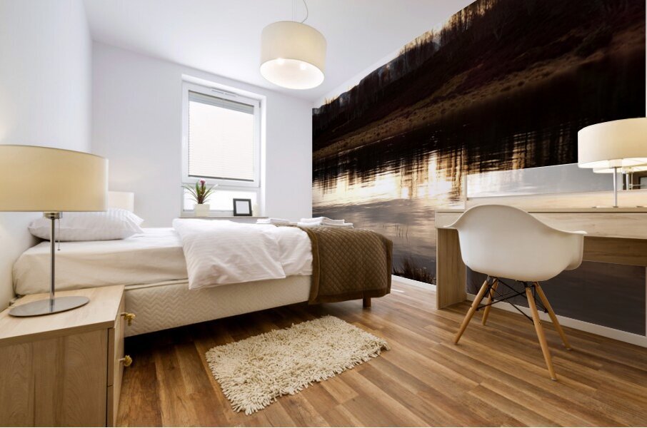 Winters Sunlight Reflection Mural print