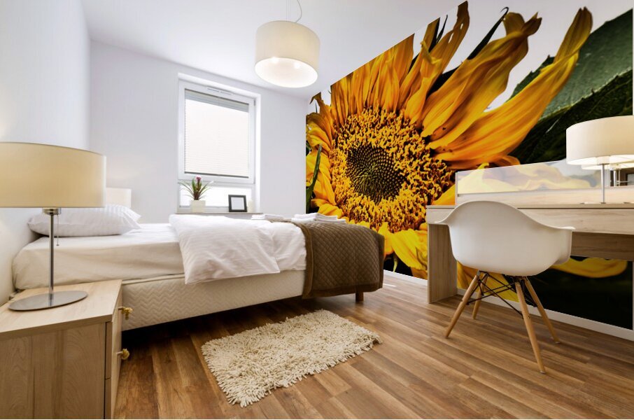 Creative Sunflower Mural print