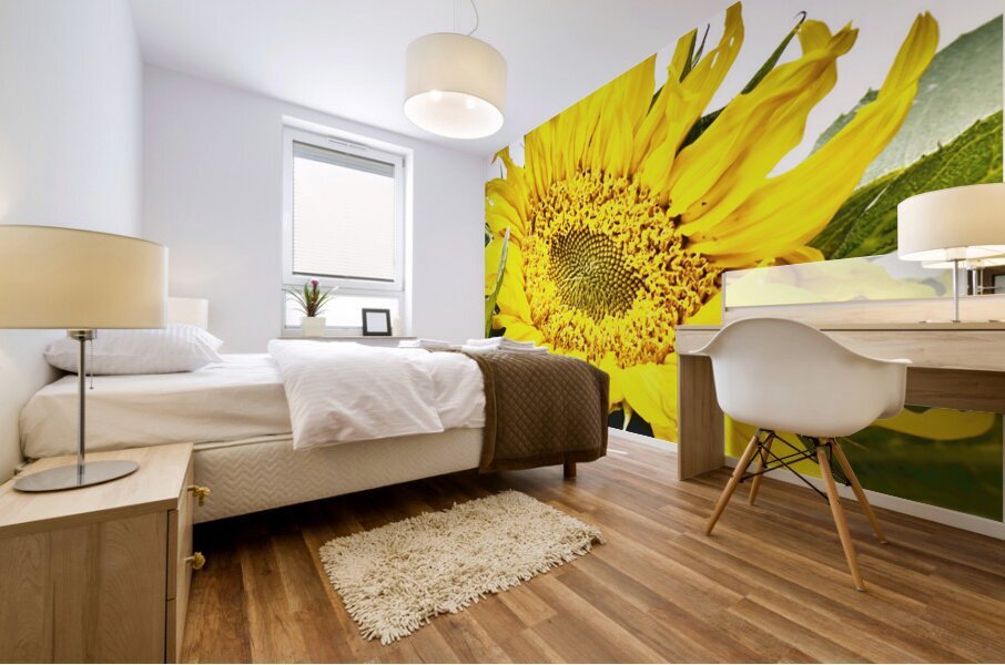 Artistic Flower Mural print