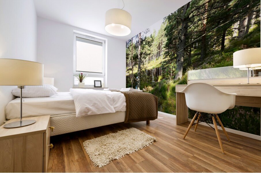 Scottish Highlands Summer Lochan Mural print