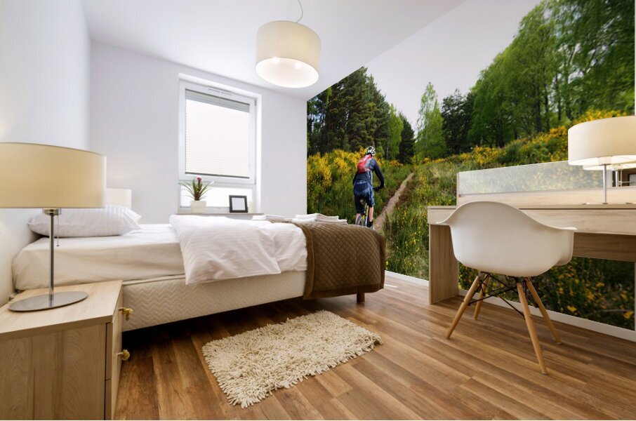 Scottish Highlands Spring Trail Cycling                                                                                                                     Mural print