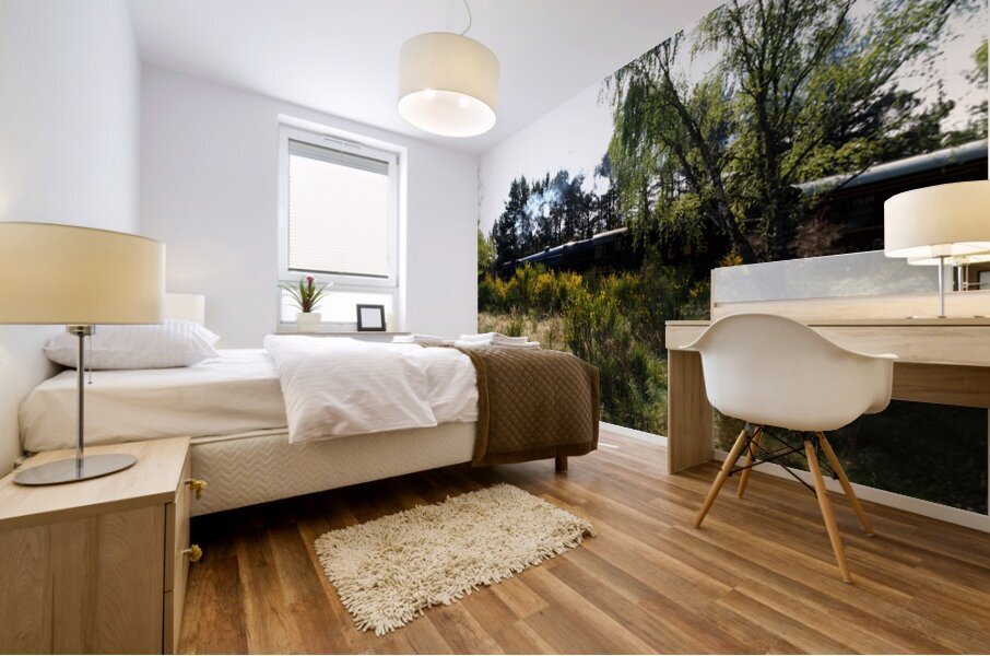  Strathspey Steam Railway on the Go                                                                                                                     Mural print