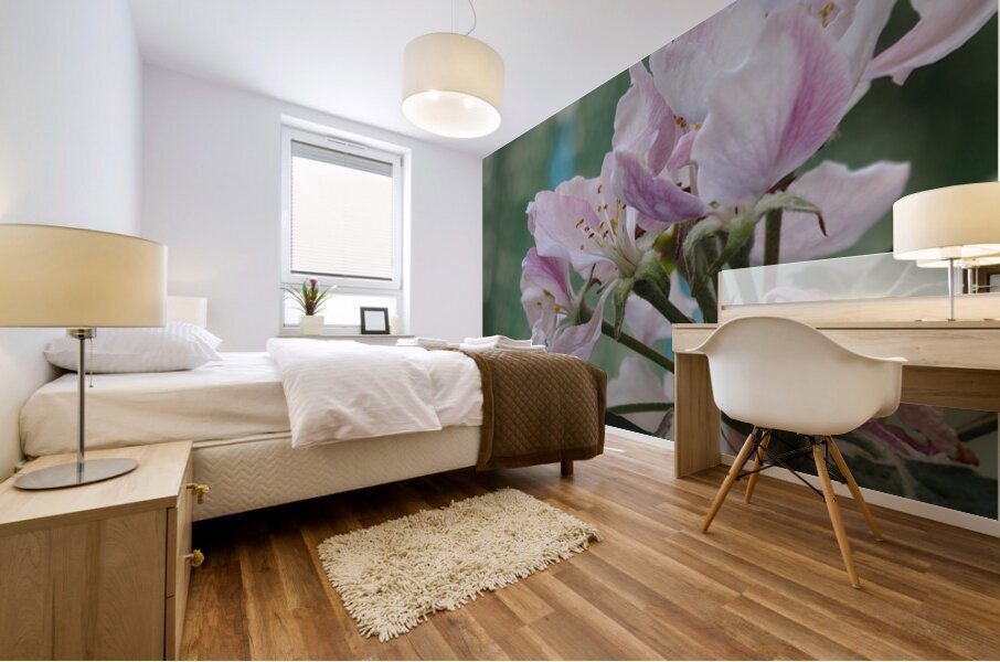  Spring Apple Blossoms                                                                                                                     Mural print
