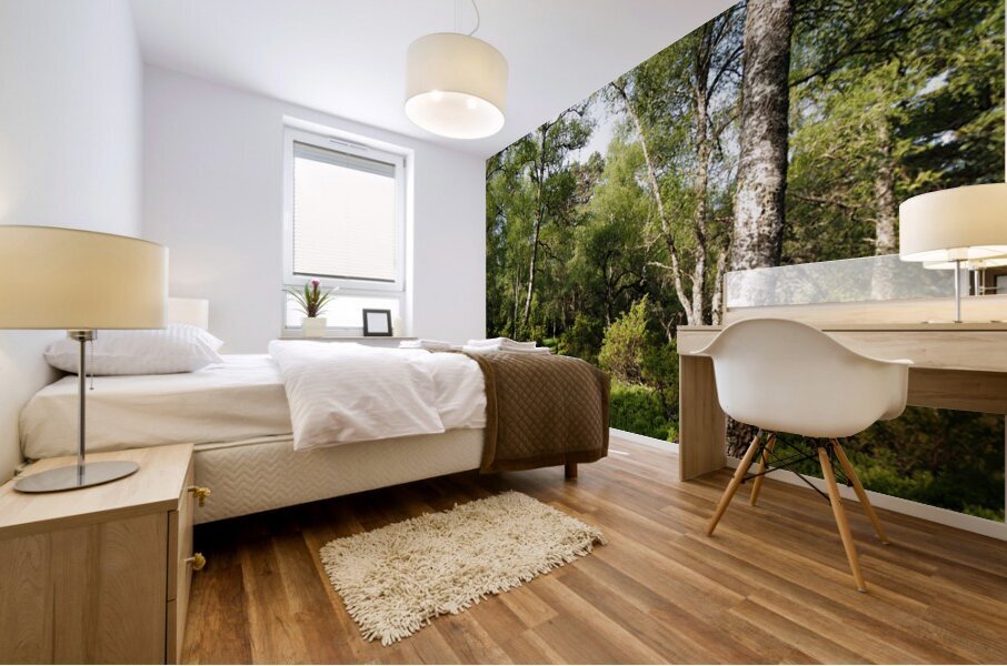  May Trail Through The Scottish Highlands                                                                                                                      Mural print