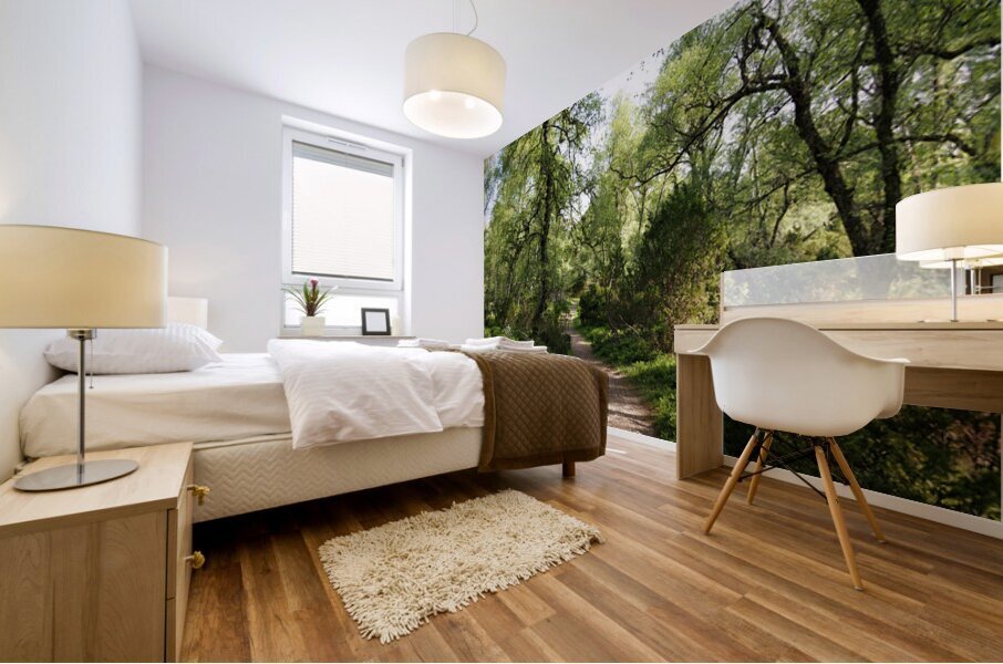 Mays Forest Trail In The Scottish Highlands                                                                                                           Mural print