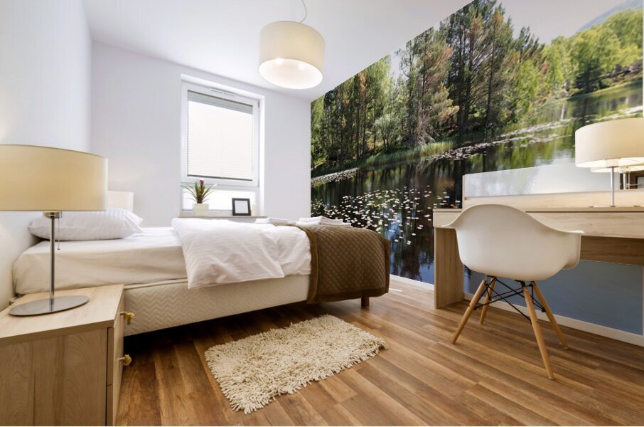  Lily Lochan In The Scottish Highlands                                                                                                                     Mural print