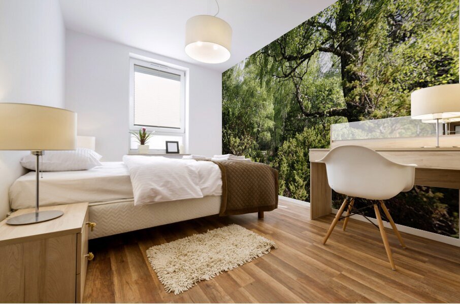 Springs Forest Walk in the Scottish Highlands                                                                                                                      Mural print