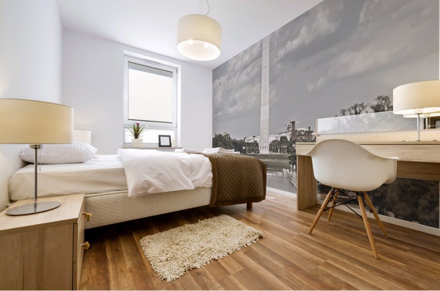 The Washington Monument Original Art Photography  Mural print