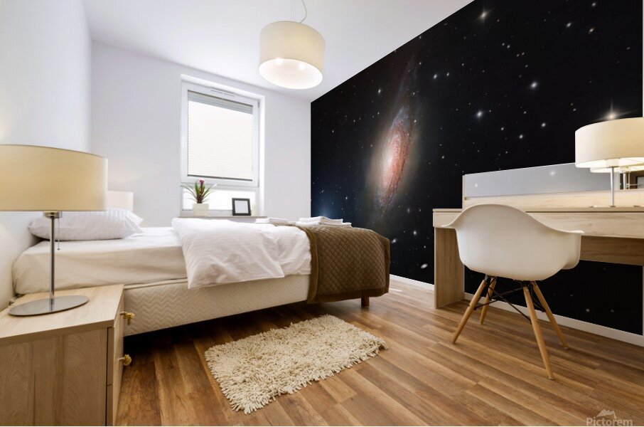 Bubble Galaxy Mural print