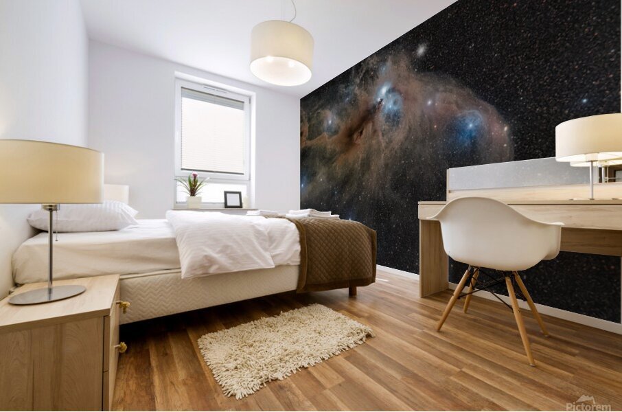 IC 4812  Mural print