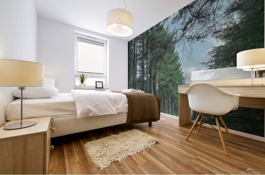 Lined Trees Art Print - Adirondack Mountains  Mural print