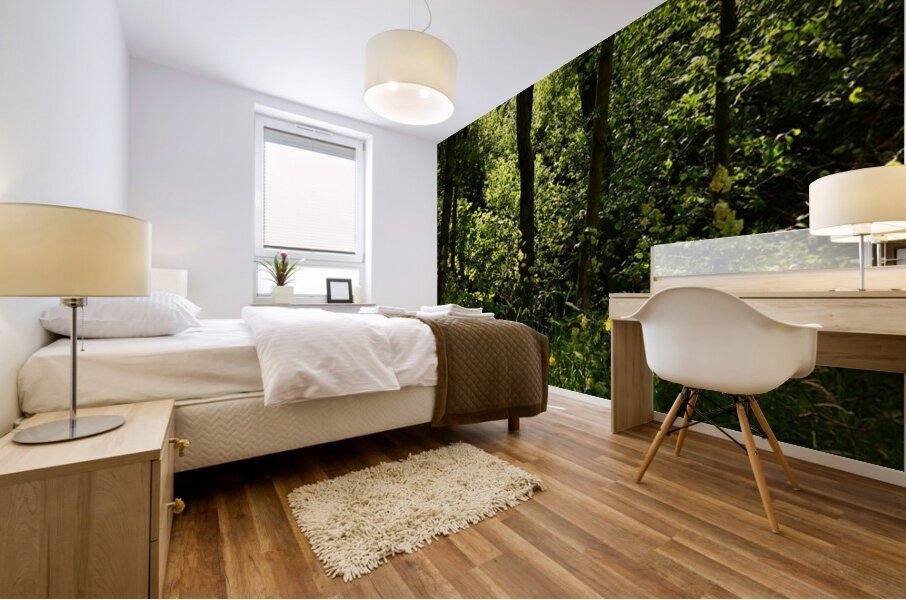 Woodland Sunlight in the Scottish Highlands Mural print