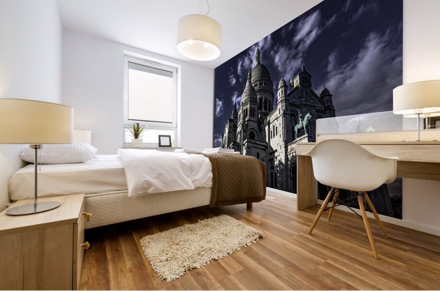Last of LIght First of Shadows Mural print