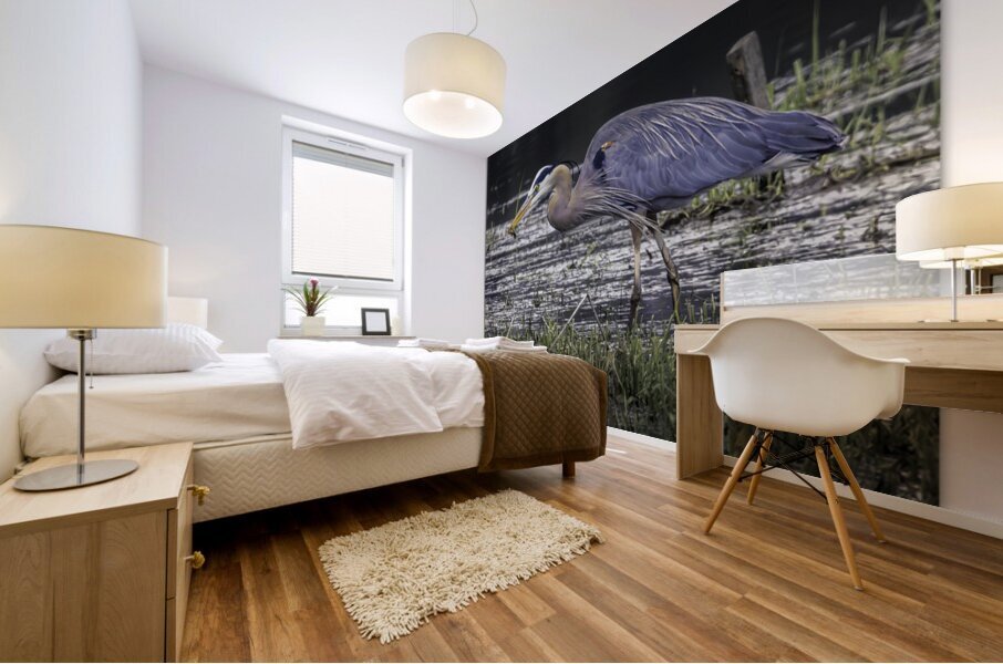 Snacking Great Blue Mural print