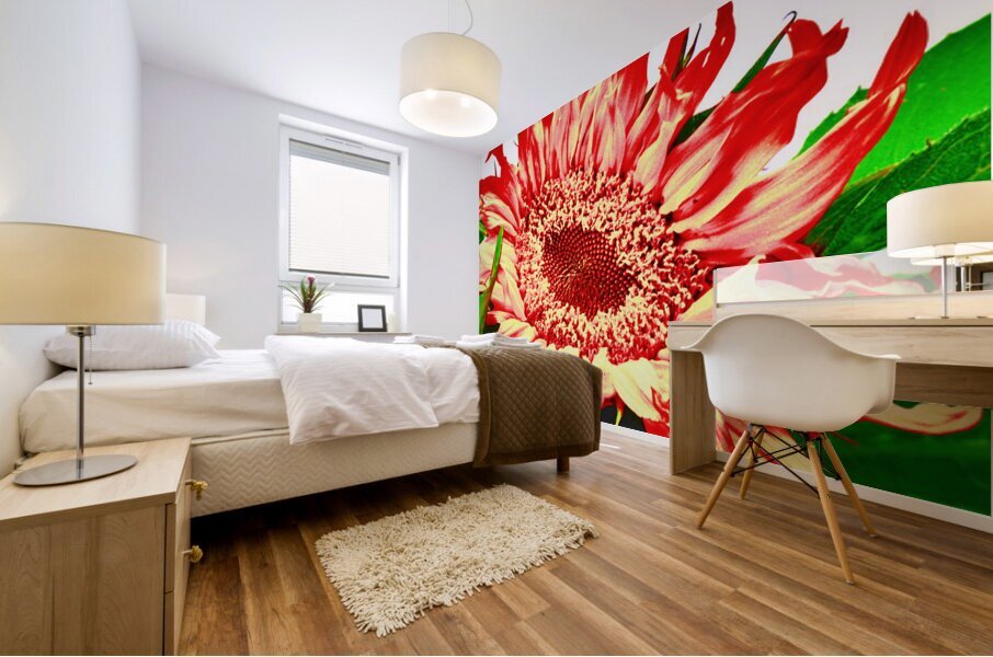 Orange Abstract Sunflower Mural print