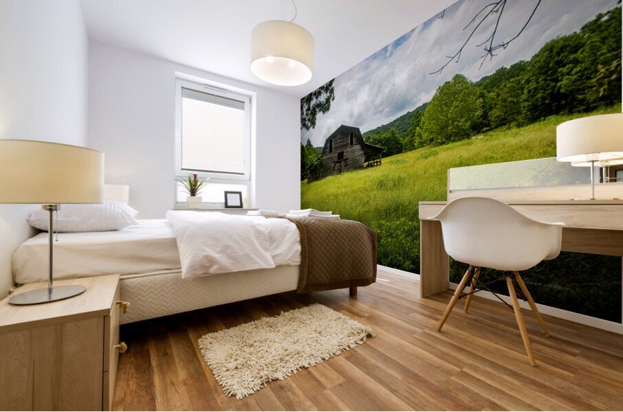 The Barn Mural print