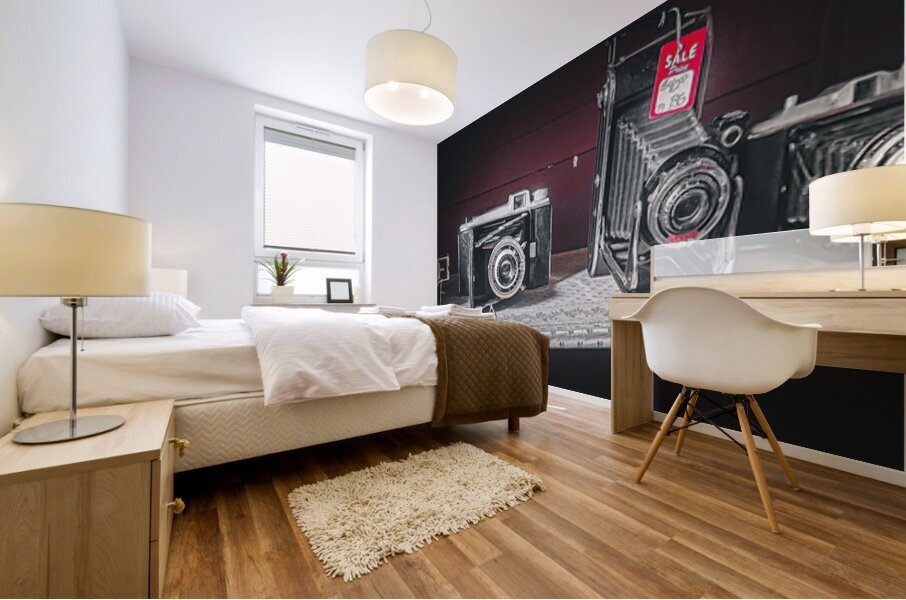 Picture The Past Mural print