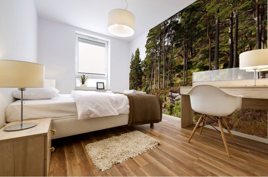  Scottish Highlands Wild Places                                                                                                                     Mural print