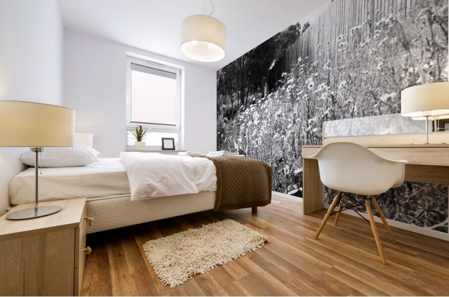 Scottish Highlands Wild Flowers                                                                                                                       Mural print