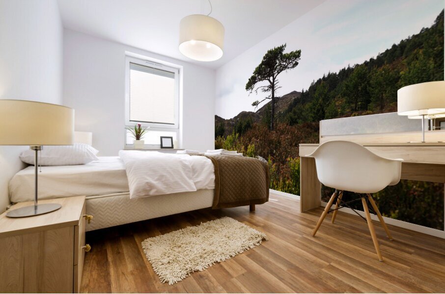  Lone Sentinel in the Scottish Highlands                                                                                                                     Mural print