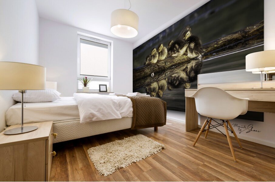 Sleepy Ducklings Mural print