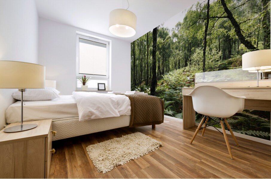 Scottish Highlands Ferns and Pines                                                                                                                      Mural print