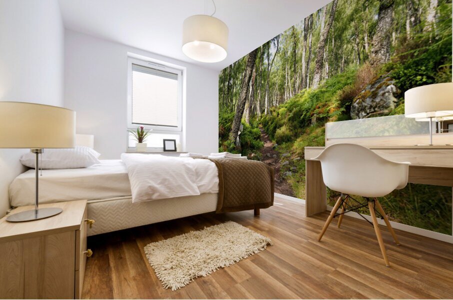 Springs Nature Waltz through the Scottish Highlands                                                                                                                       Mural print