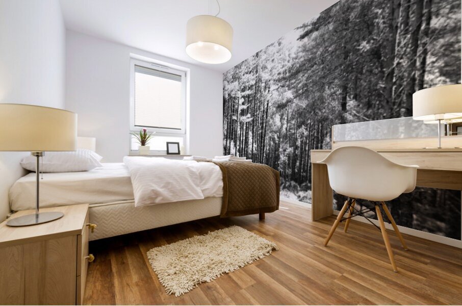 Springs Path through the Scottish Highlands                                                                                                                      Mural print