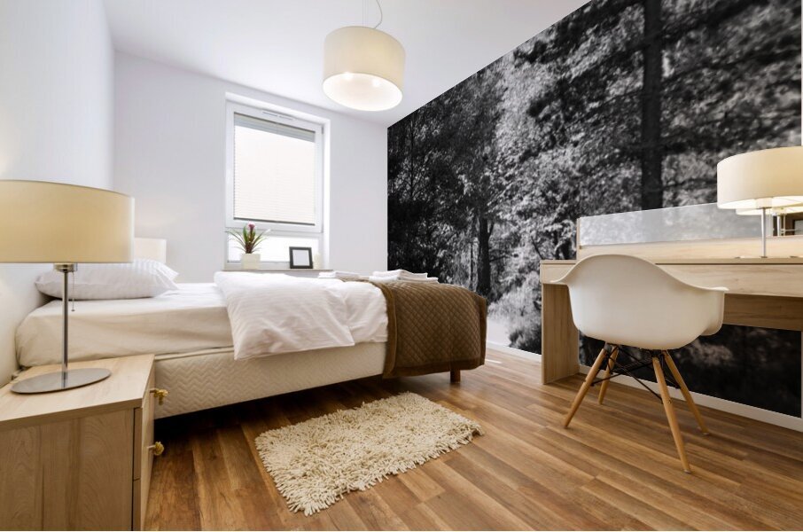 Summer Monochrome Walk through the Scottish Highlands Mural print