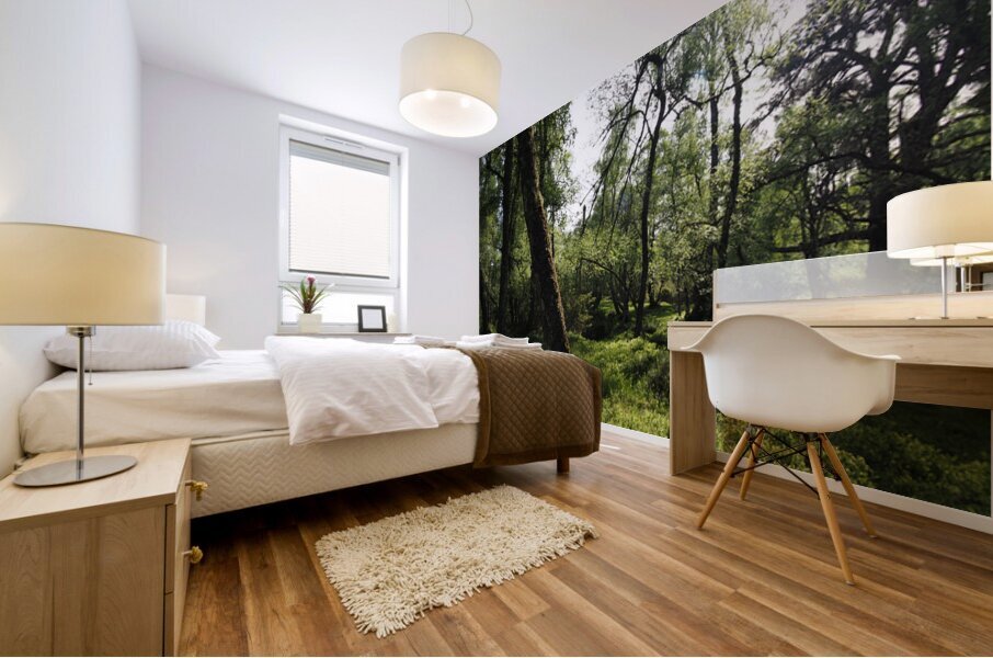 Springs Sunlit Forest in the Scottish Highlands                                                                                                                      Mural print