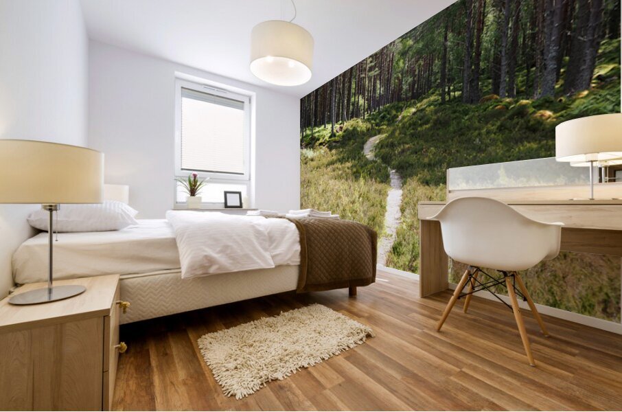 Scottish Heather Trail                                                                                                                       Mural print