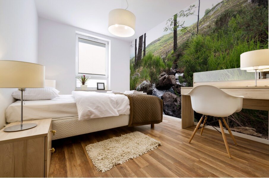  The Burn in the Scottish Highlands                                                                                                                     Mural print