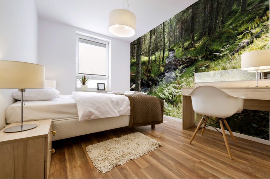  Scottish Highlands Forest Stream                                                                                                                   Mural print