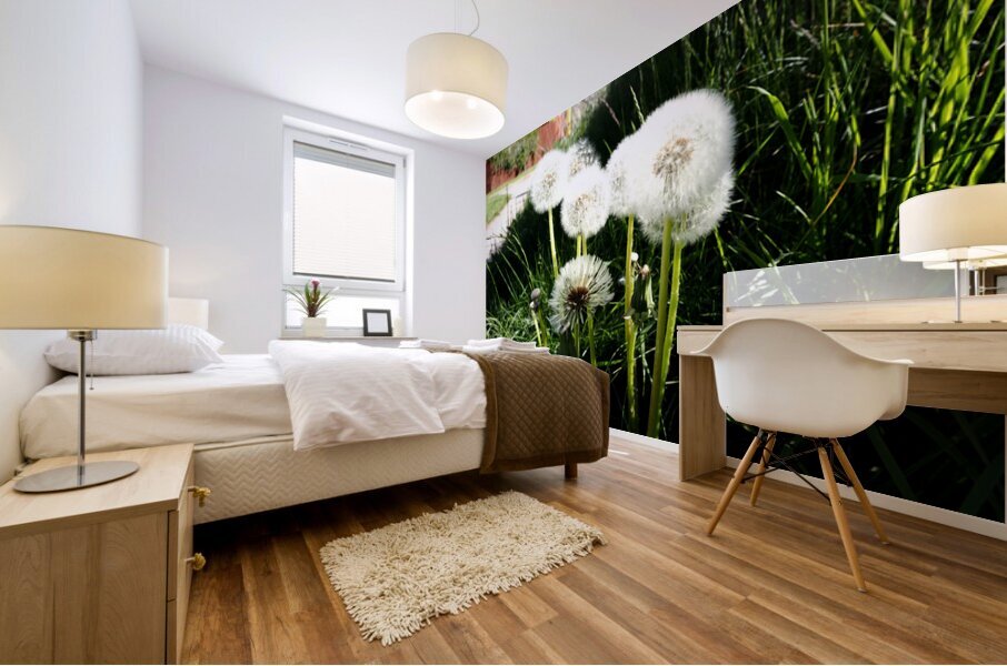 Dandelions of the Scottish Highlands                                                                                                                       Mural print