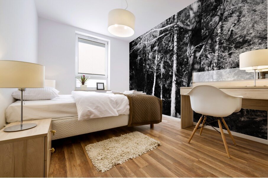 Scottish Highlands Dark Forest Mural print