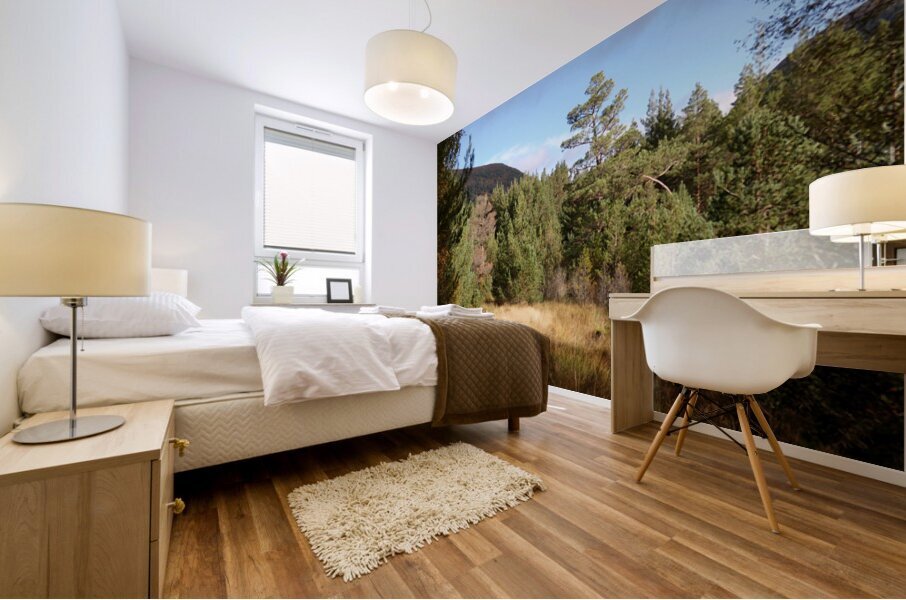 Scottish Highlands Forest View Mural print