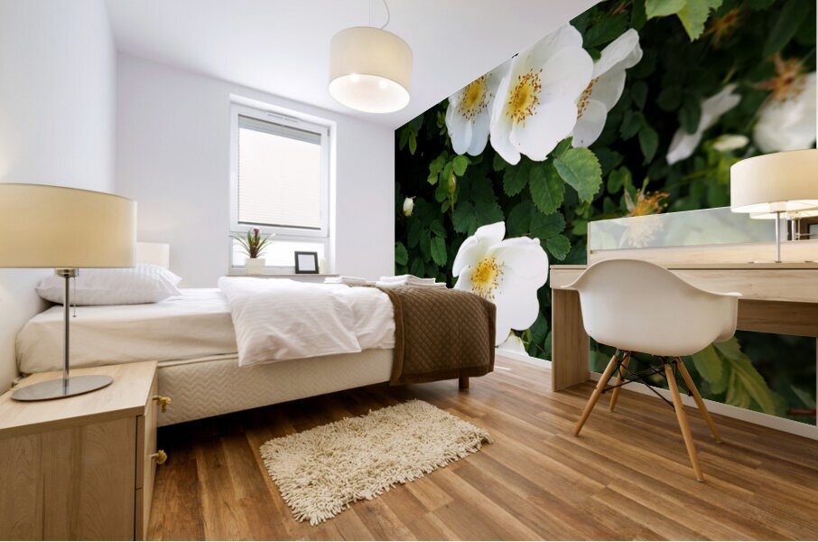 Scottish Highlands White Dog Rose                                                                                                                      Mural print