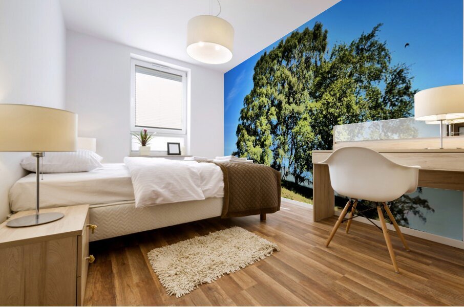 Scottish Highlands Birch Tree Trio Mural print