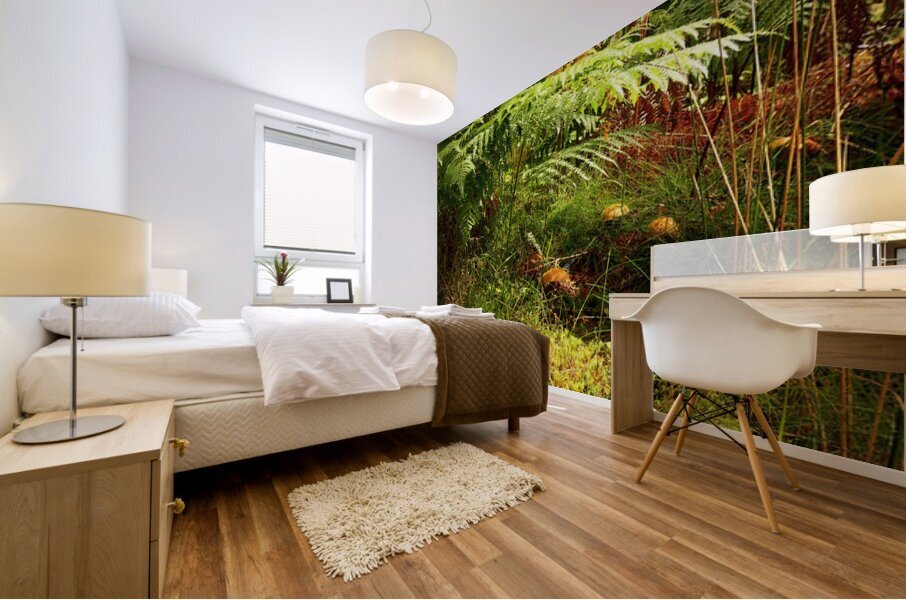 Mushrooms Amidst the Ferns  Mural print